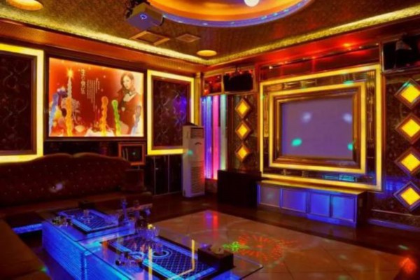 猫咪养生新潮流：茶香猫影的美好时光